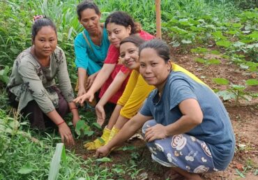 World Environment Day