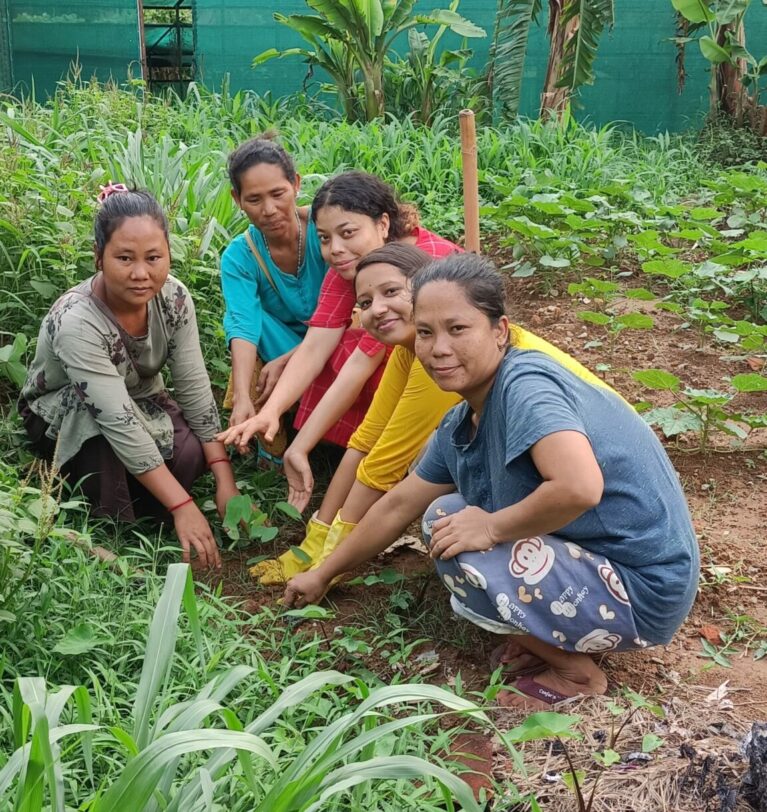 World Environment Day